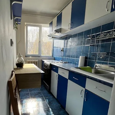 Apartment Tomis Nord *